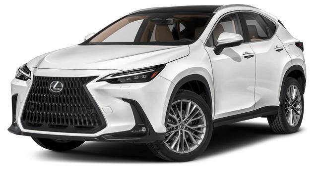 2024 Lexus NX