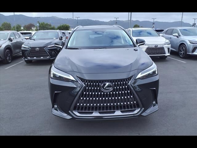 2024 Lexus NX