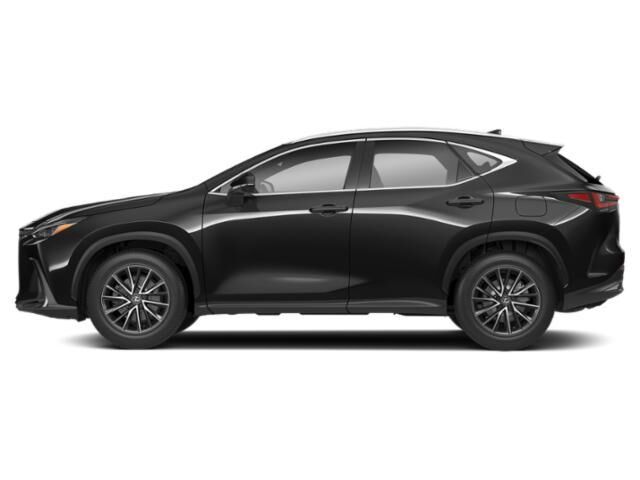2024 Lexus NX