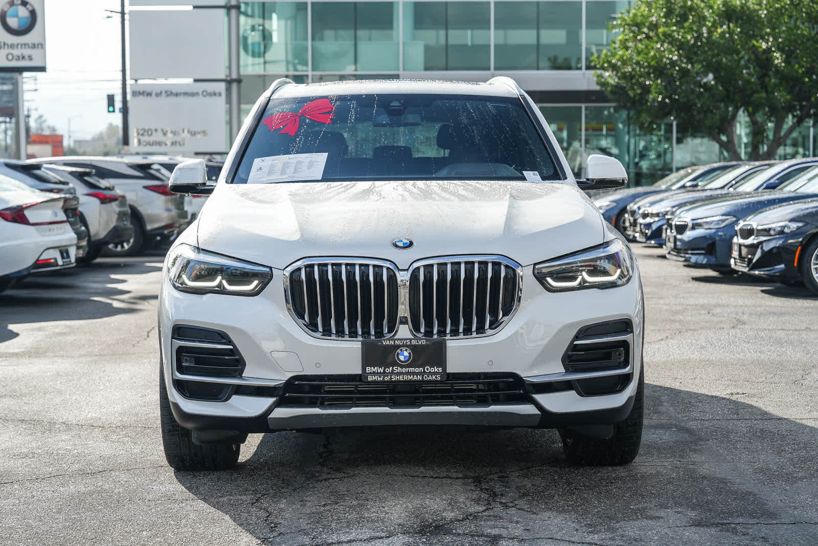 2023 BMW X5
