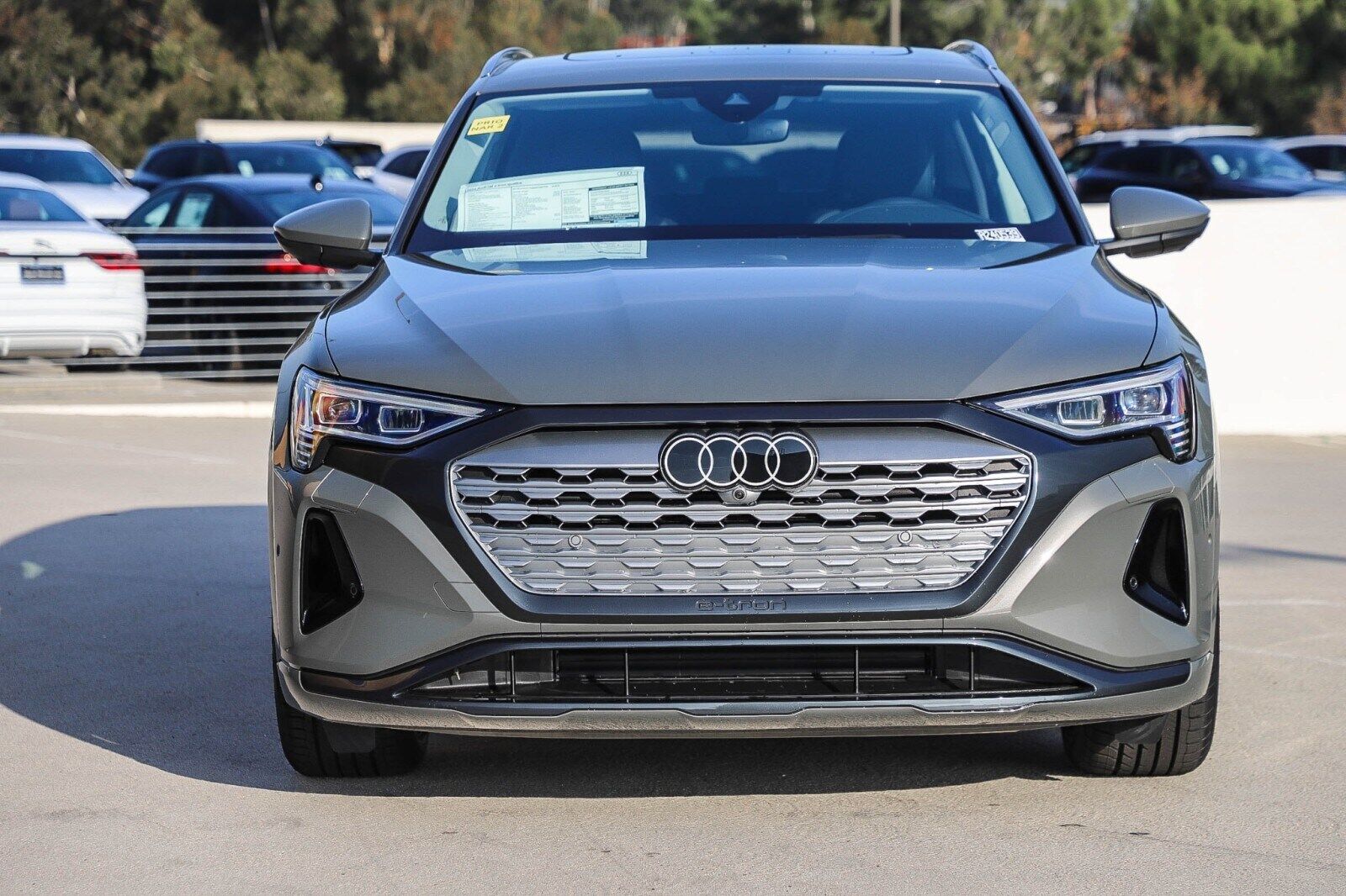 2024 Audi Q8