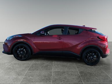 2018 TOYOTA C-HR - License Plate