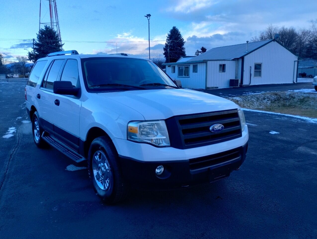 2010 FORD Expedition