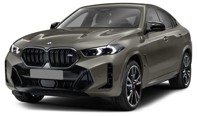 2024 BMW X6