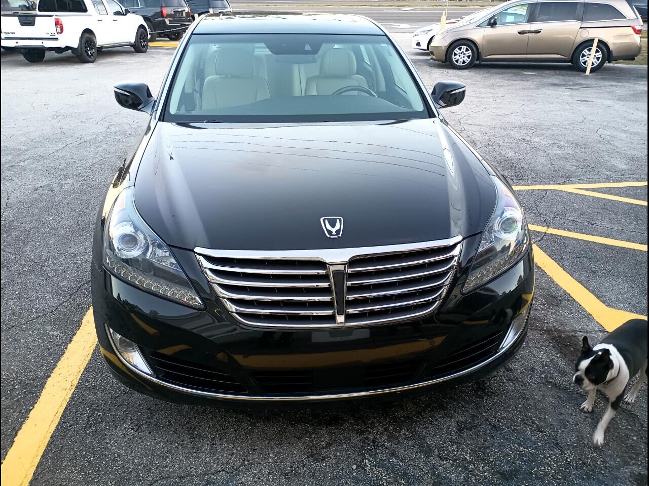 Hyundai Equus