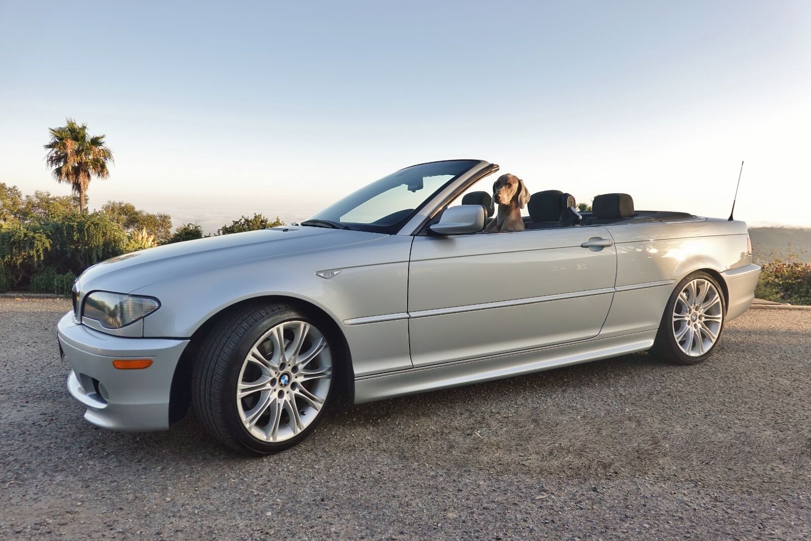 BMW 330Cic