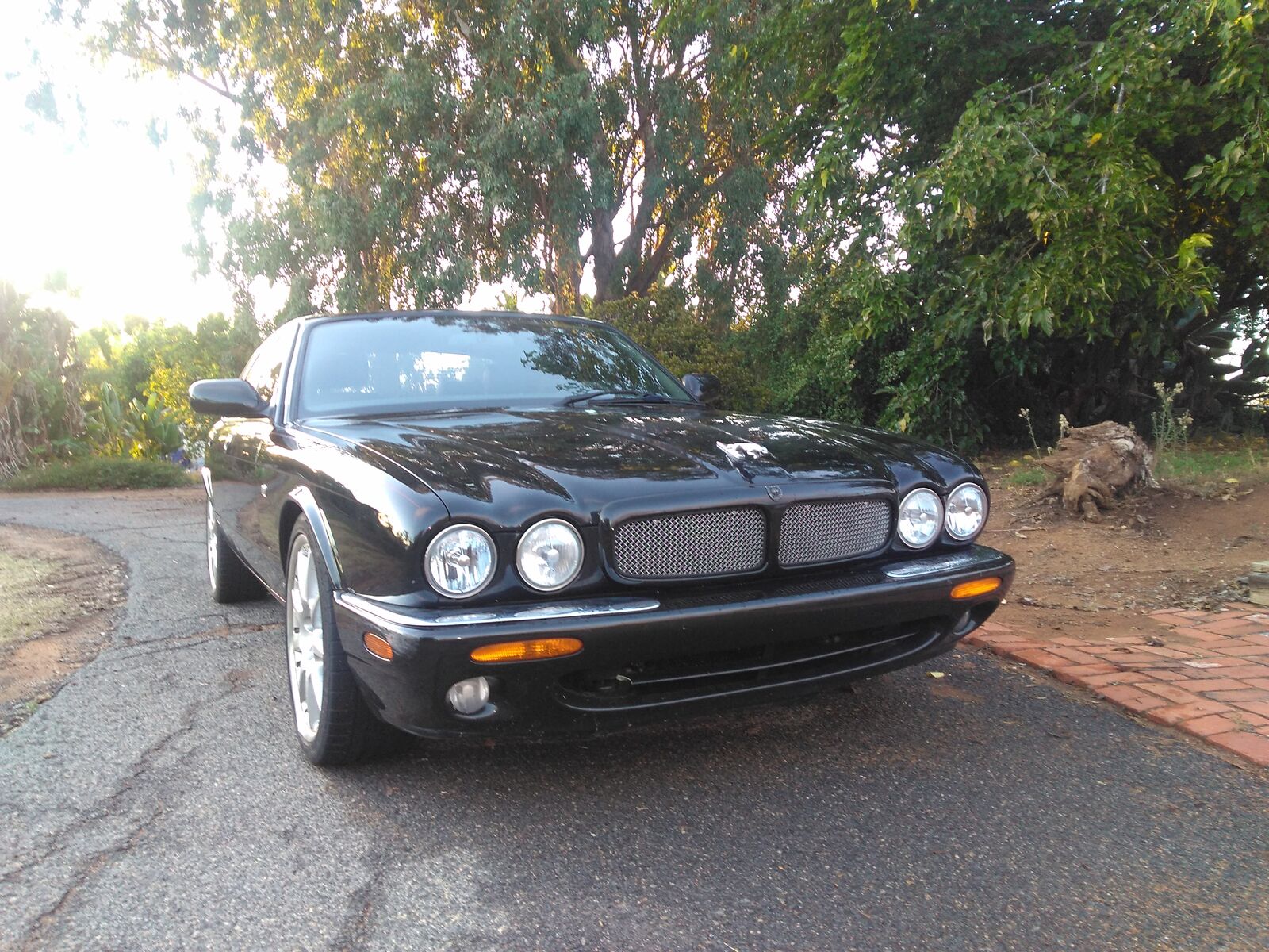 Jaguar XJR