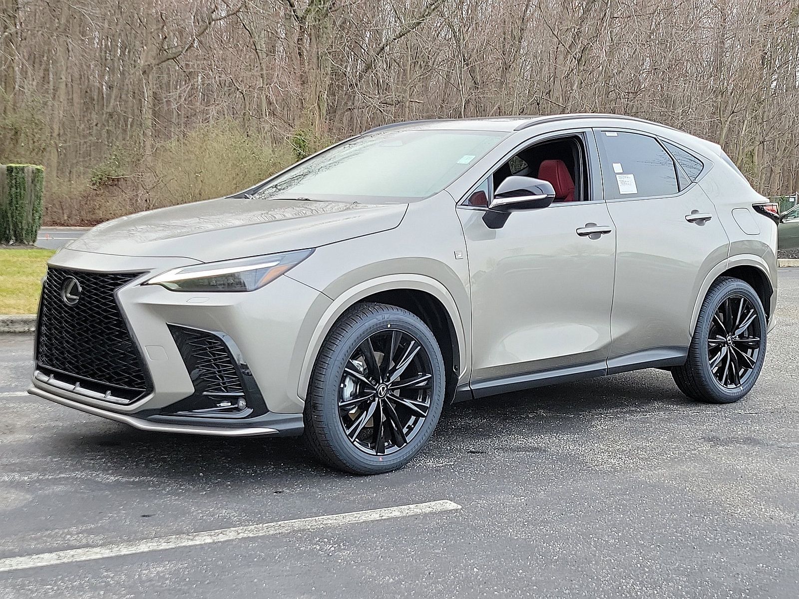2024 Lexus NX