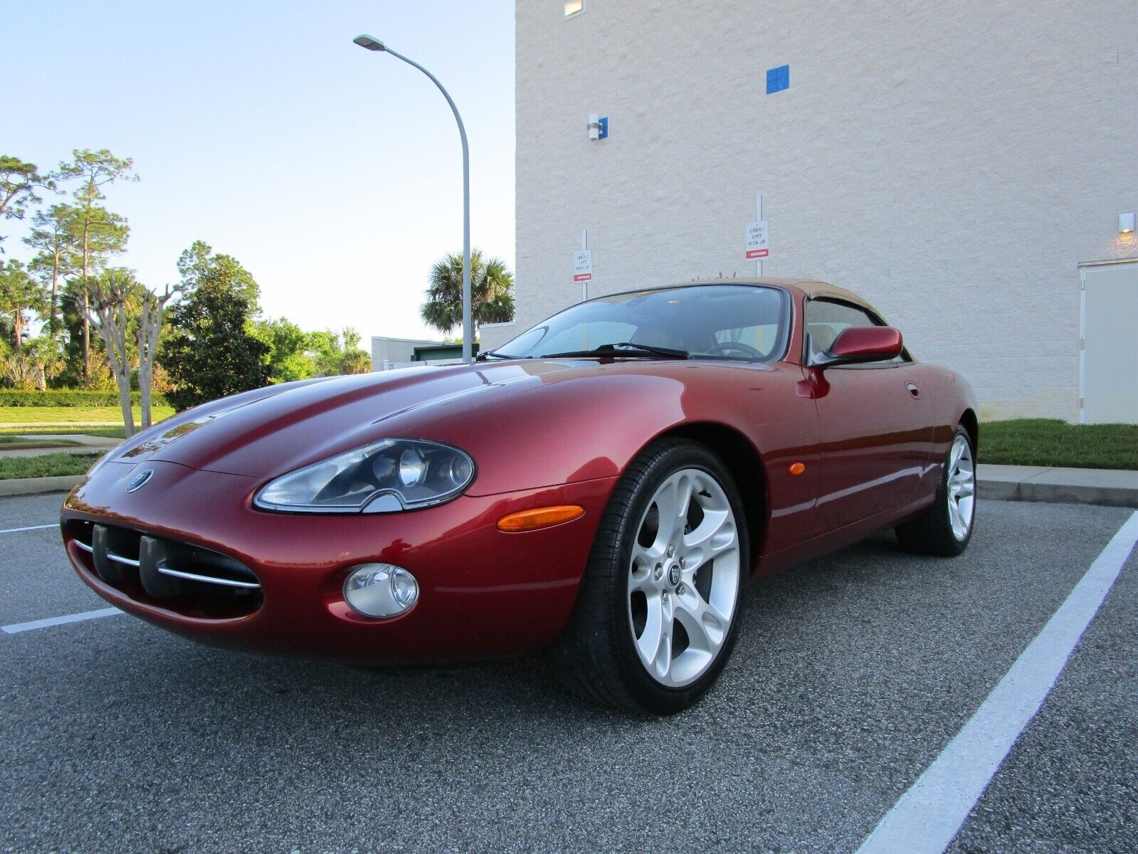 JAGUAR
