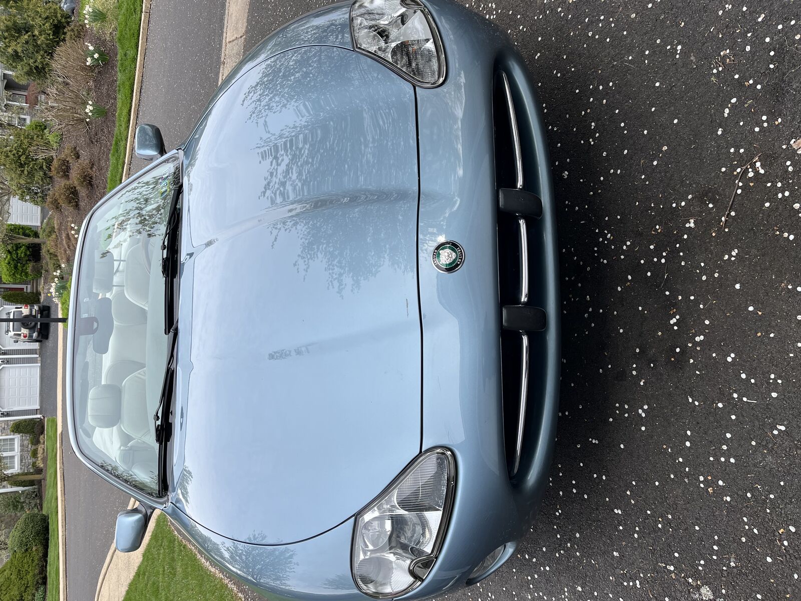 Jaguar XK8