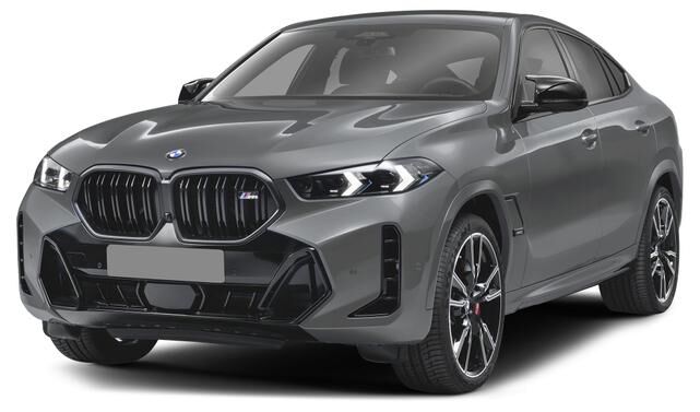 2025 BMW X6