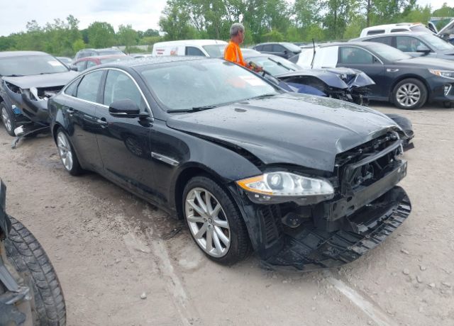 Jaguar XJ