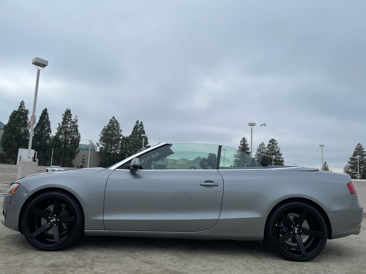 2010 Audi A5