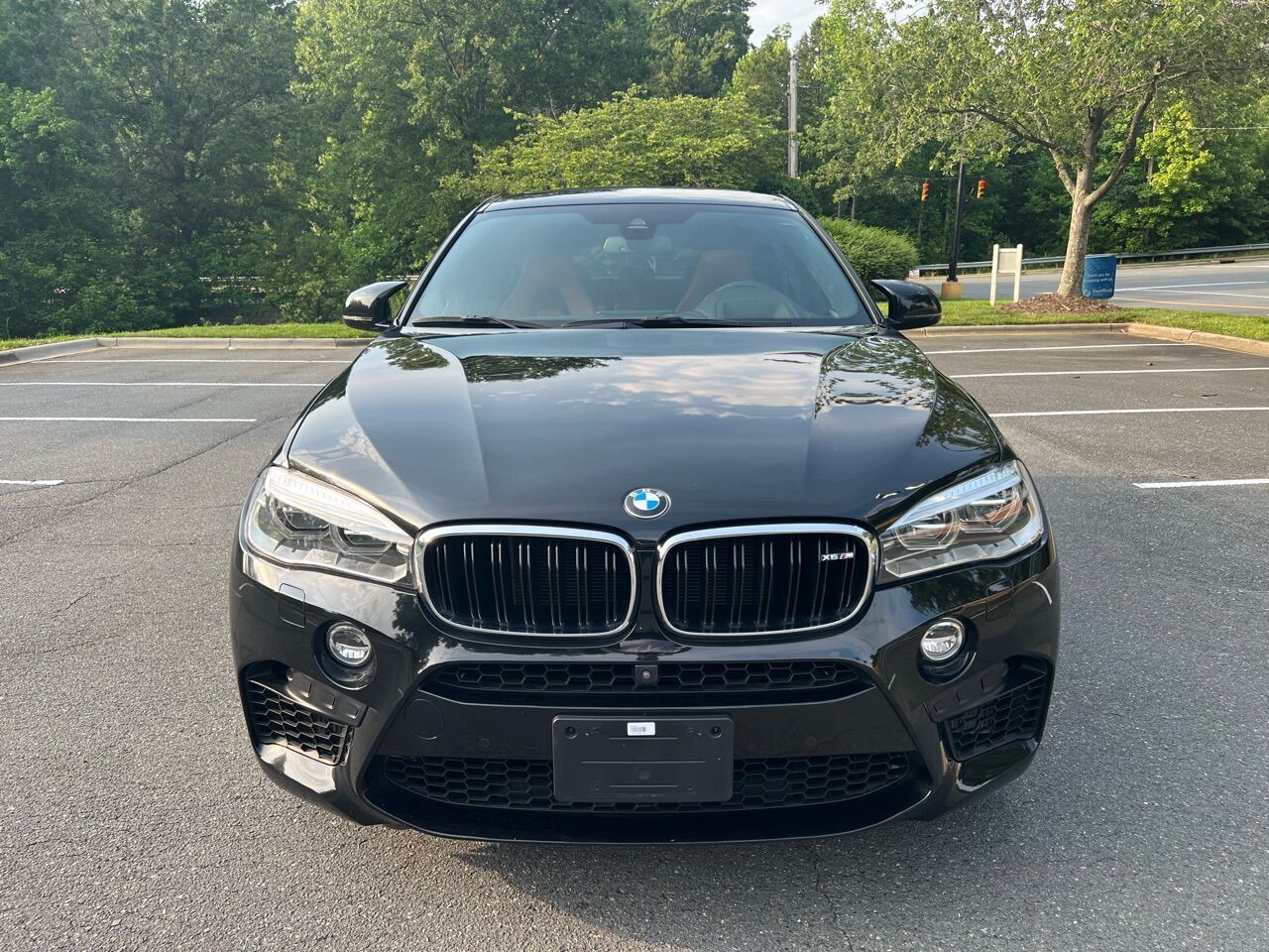 2019 BMW X6
