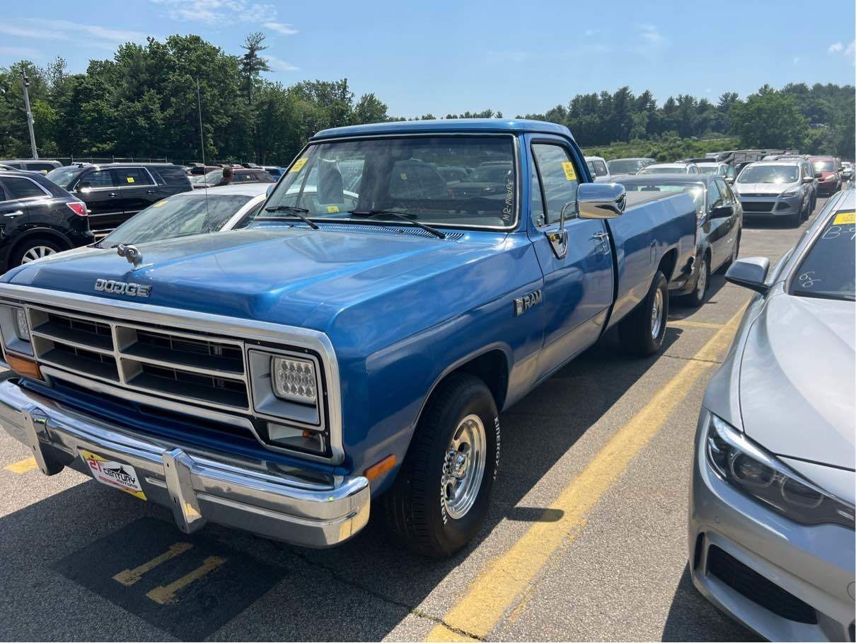 Dodge D-Series