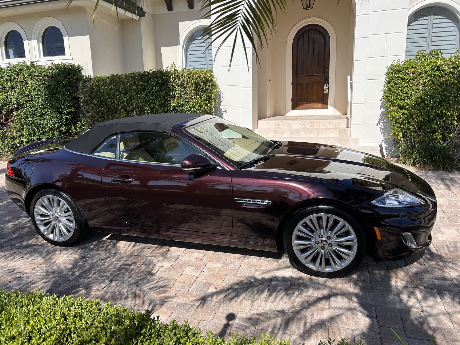 Jaguar XK