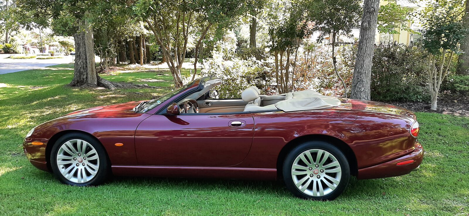 Jaguar XK