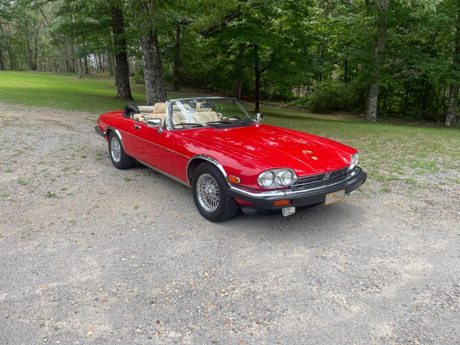 Jaguar XJS