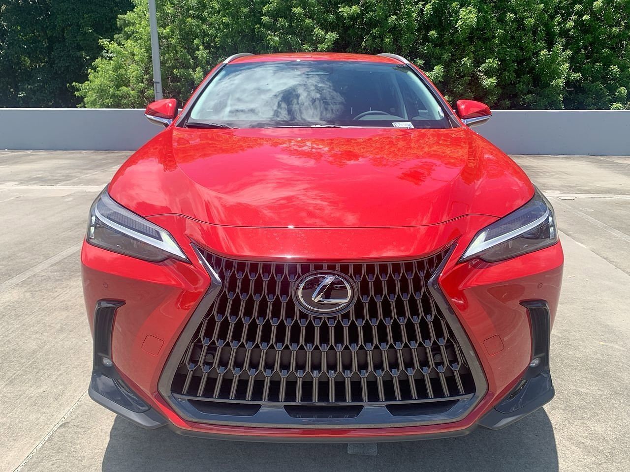 2025 Lexus NX