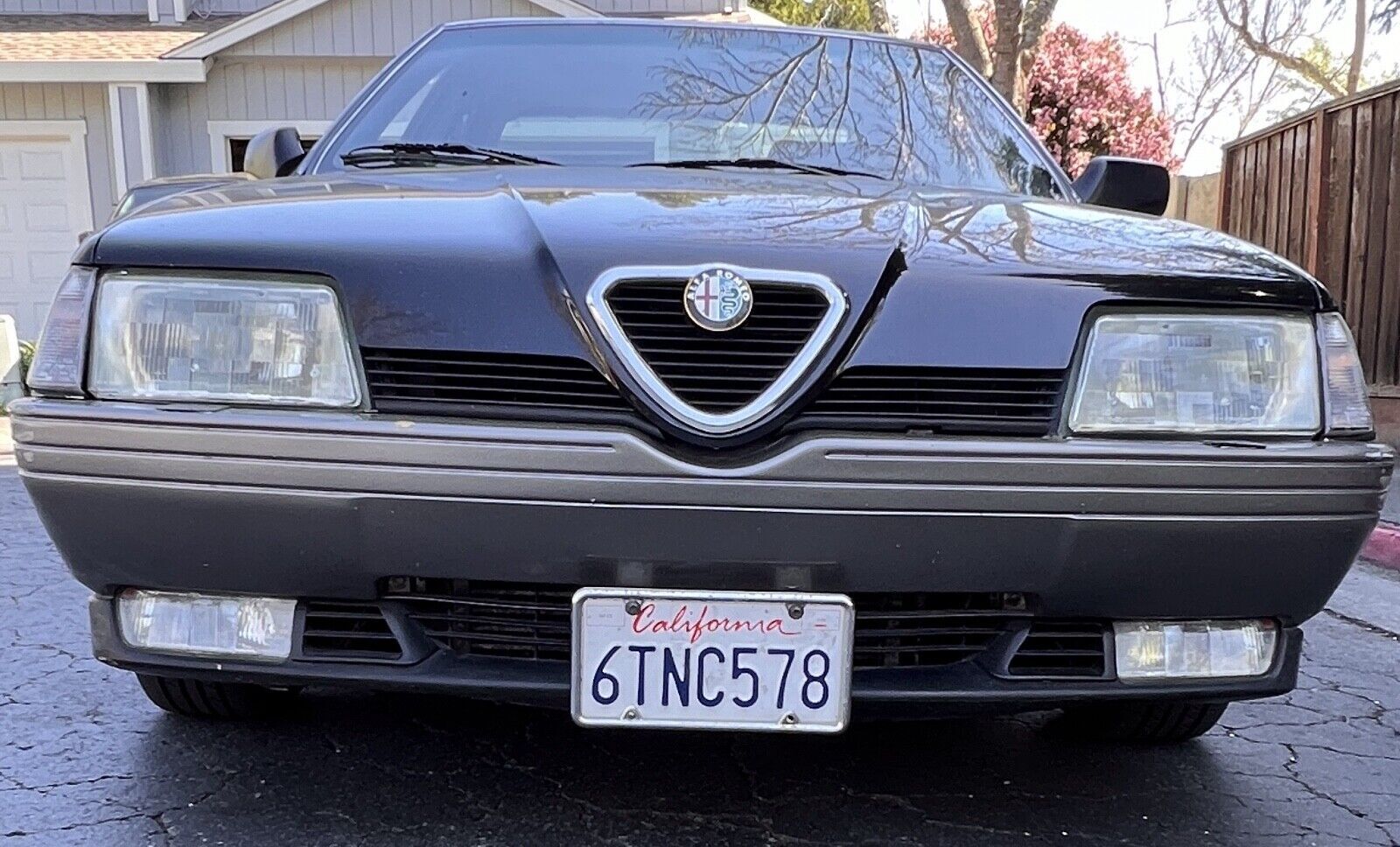 Alfa Romeo 164