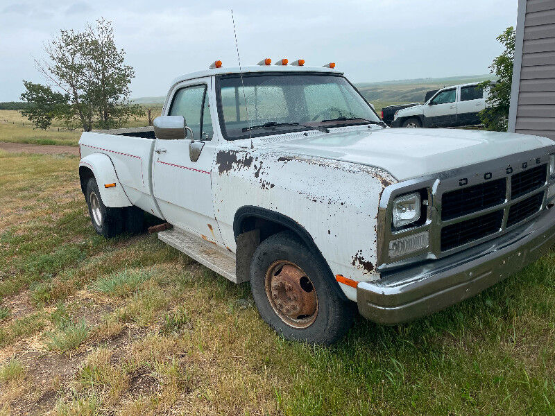 Dodge D-Series