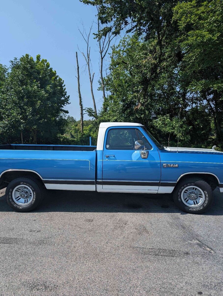 Dodge D-Series