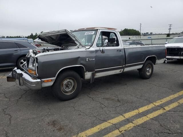 Dodge D-Series