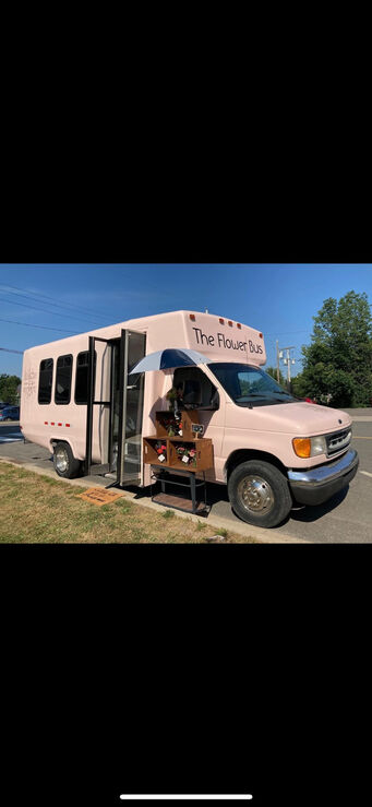 Ford E-450