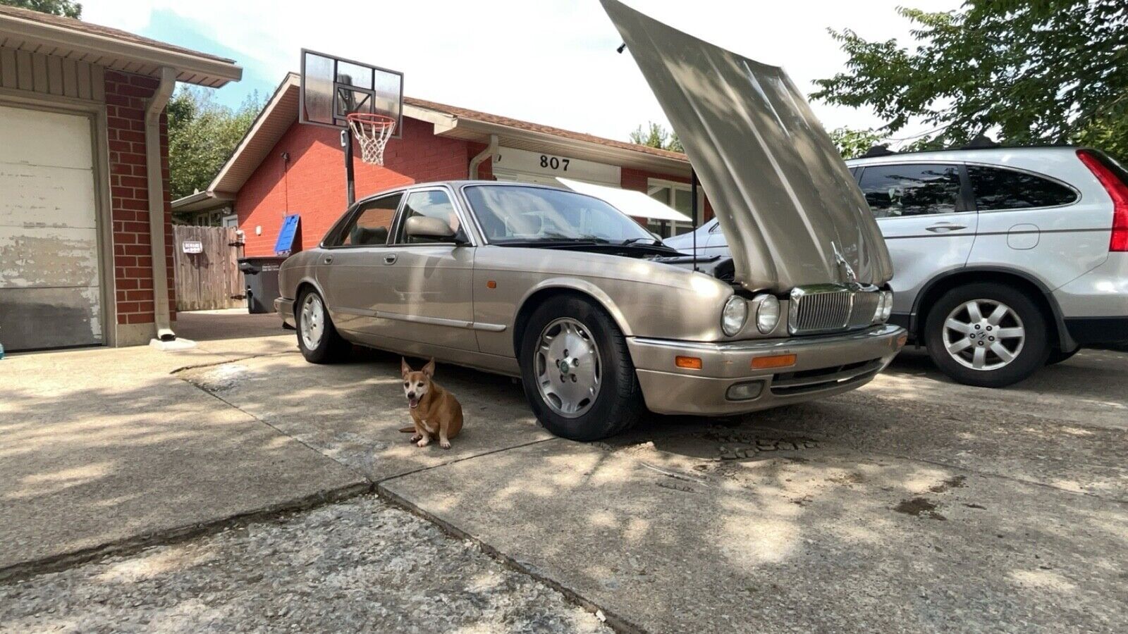 Jaguar XJ6