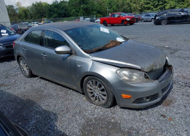 Suzuki Kizashi
