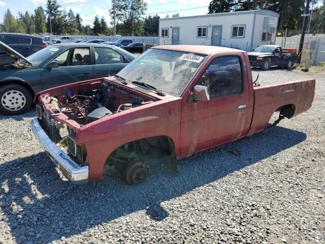 Nissan Pickup