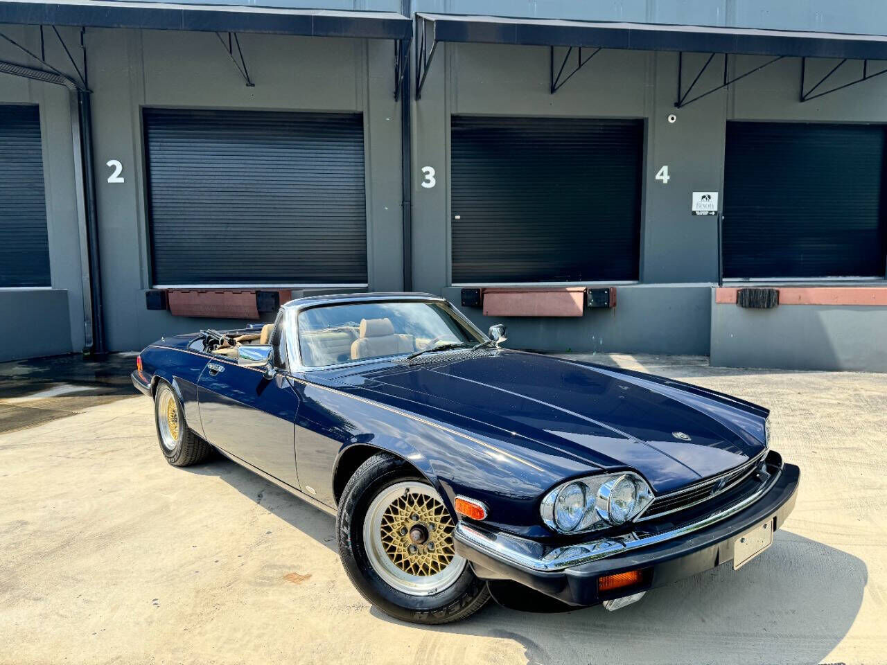 JAGUAR
