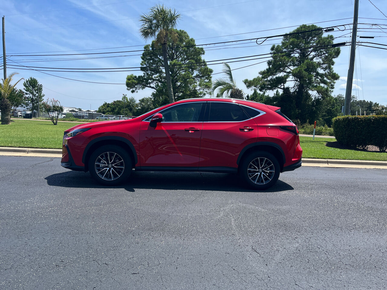 2024 Lexus NX