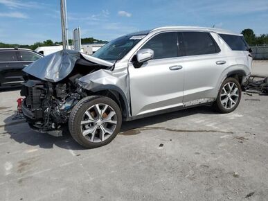 2022 HYUNDAI Palisade - License Plate