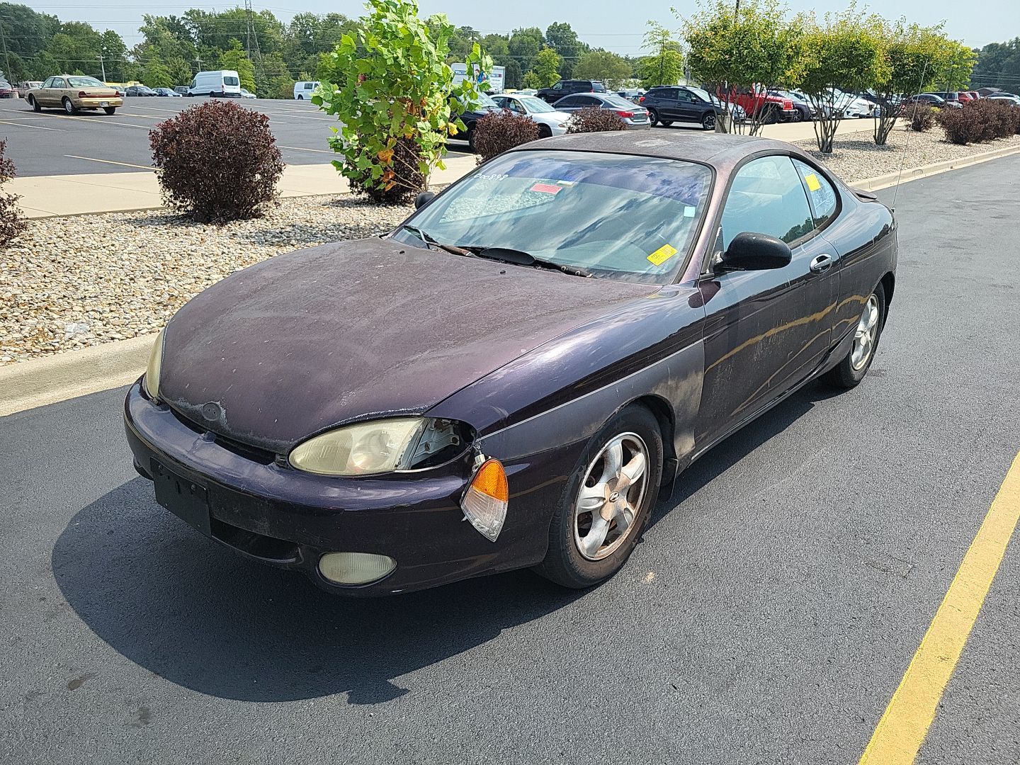 Hyundai Tiburon