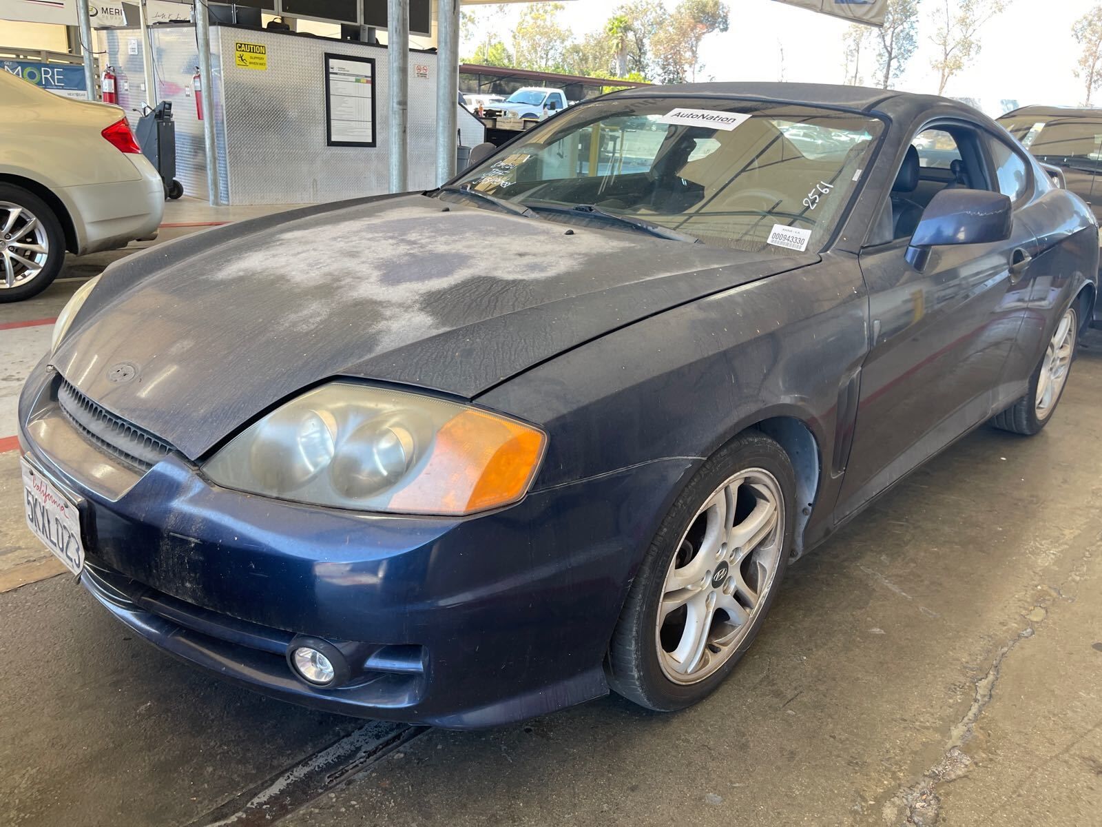 Hyundai Tiburon
