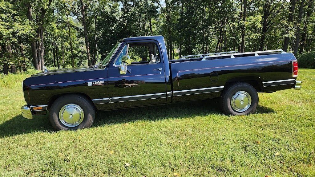 Dodge D-Series