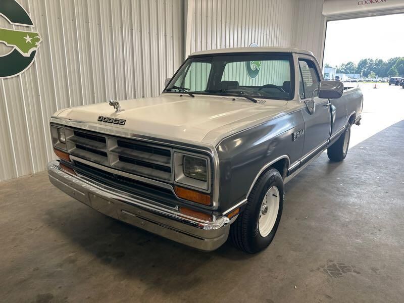 Dodge D-Series