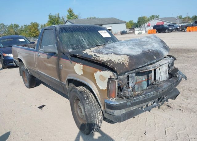 Dodge Dakota