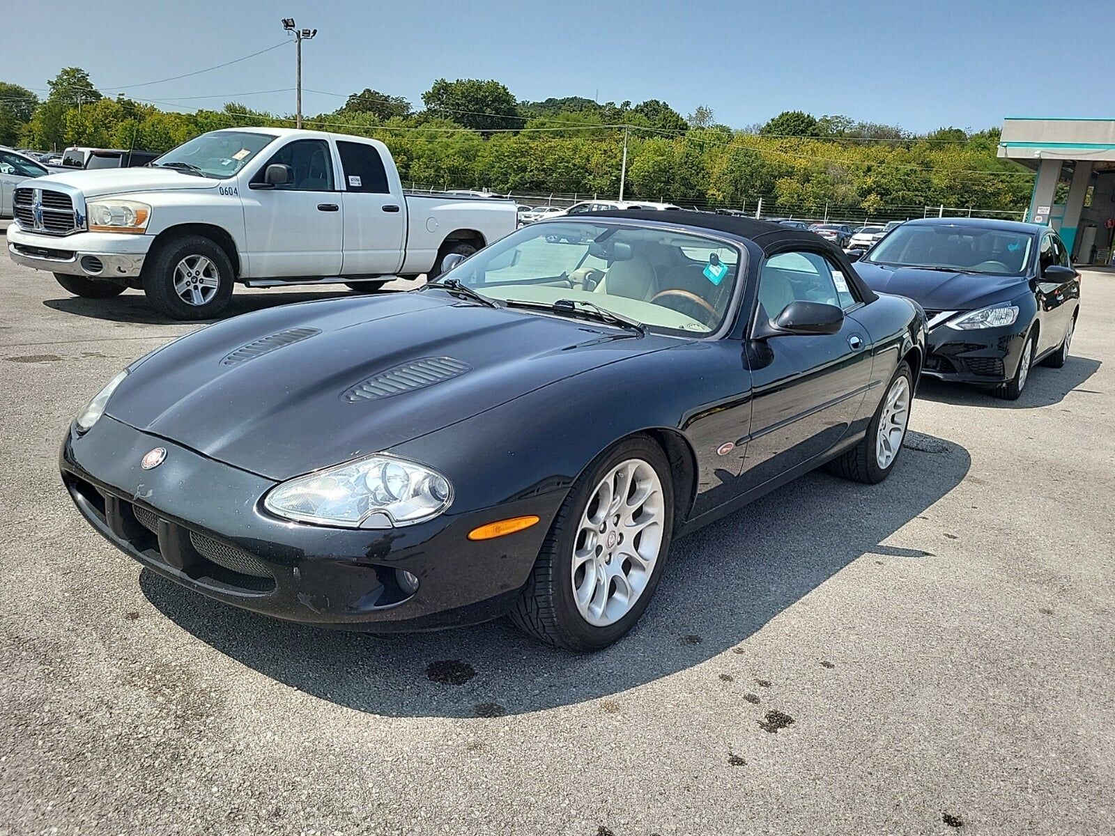JAGUAR
