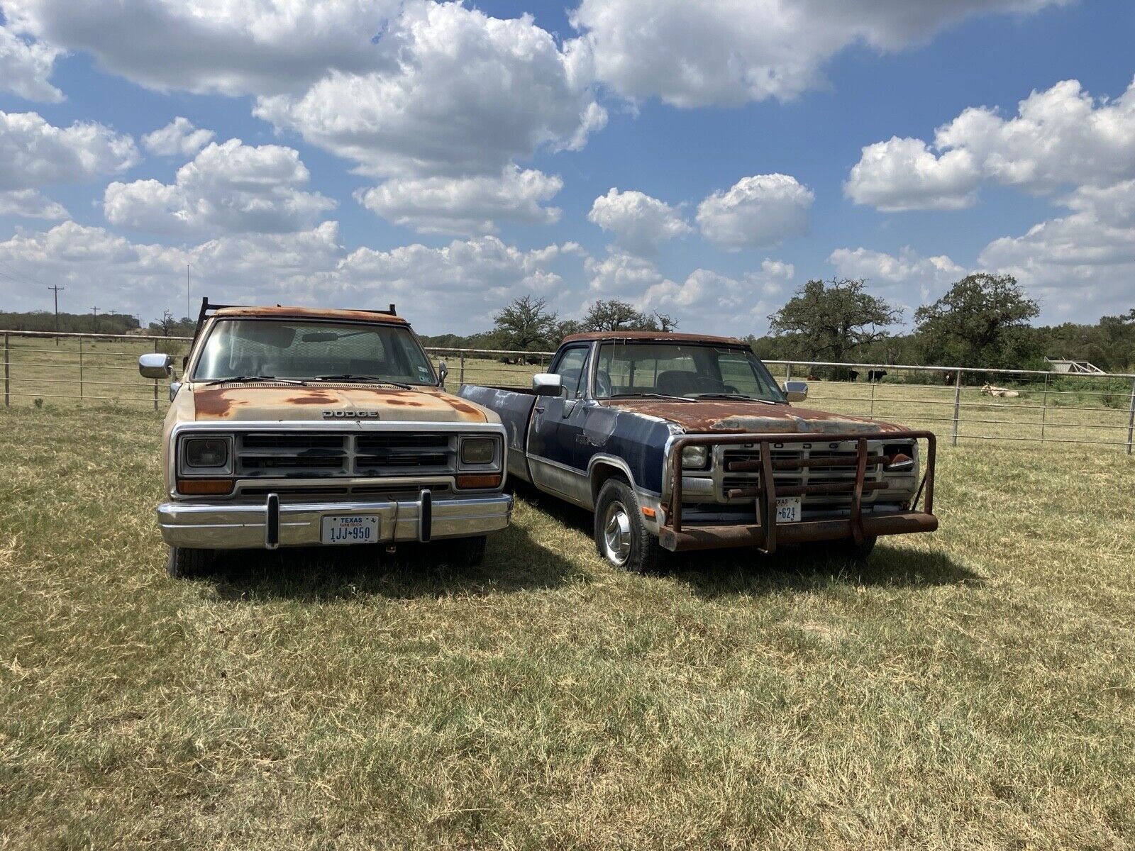 Dodge D-Series