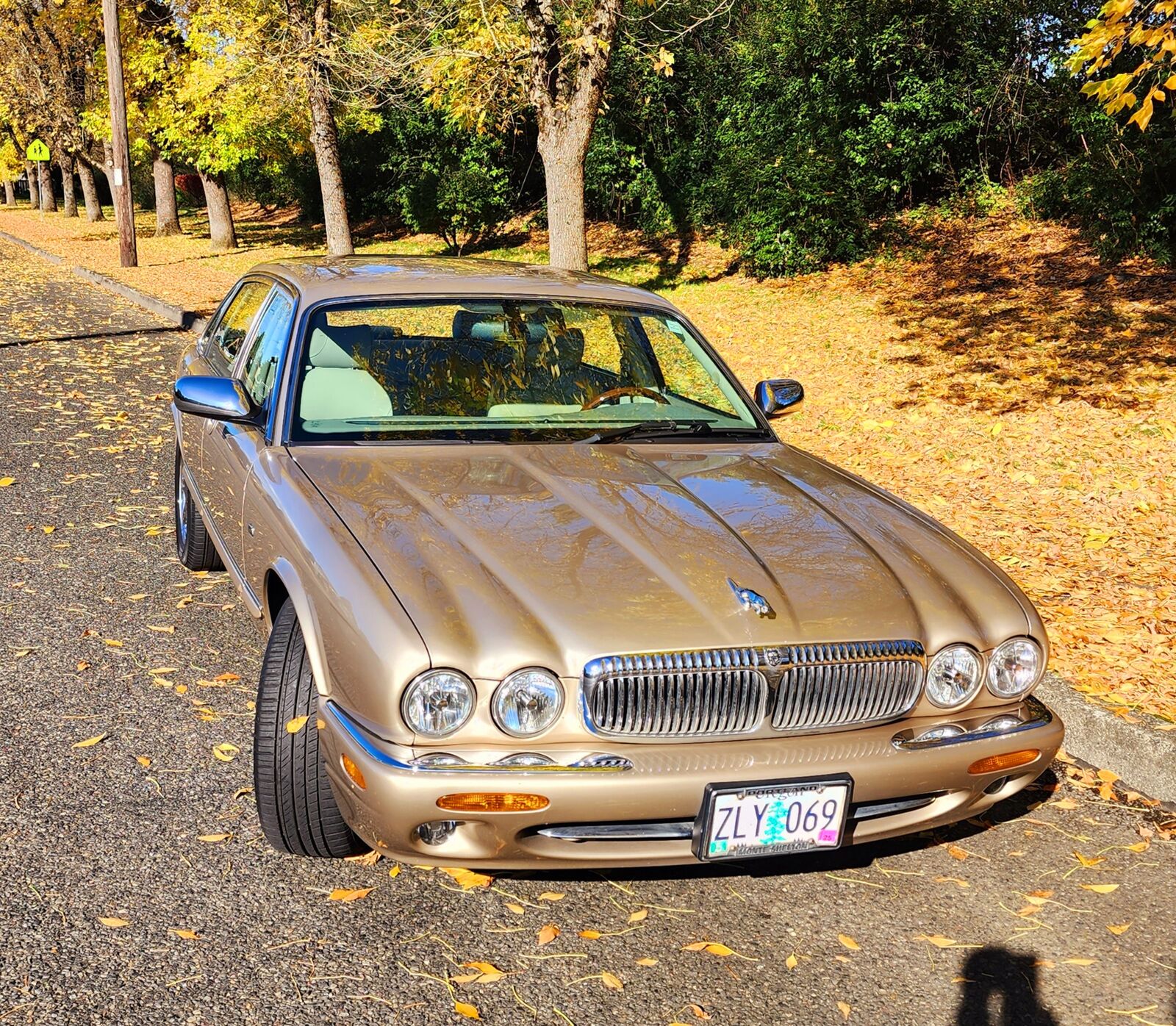 Jaguar Vanden Plas