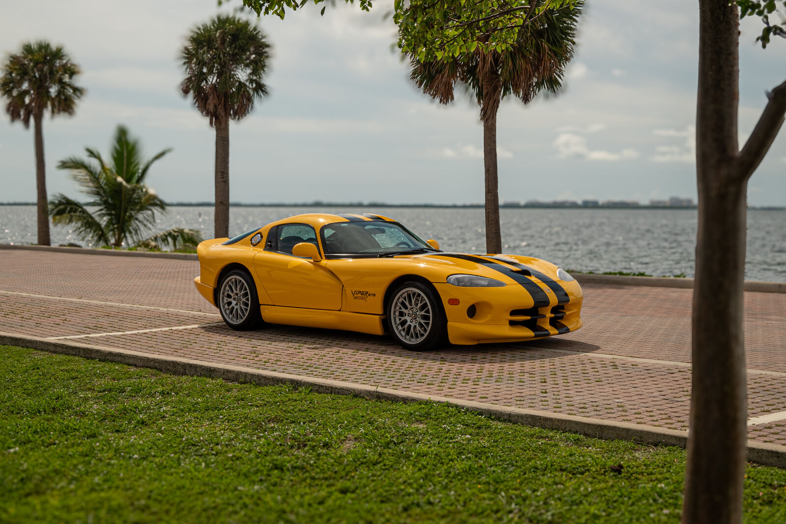 Dodge Viper