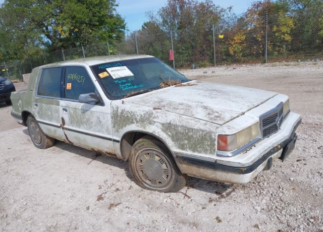 Dodge Dynasty
