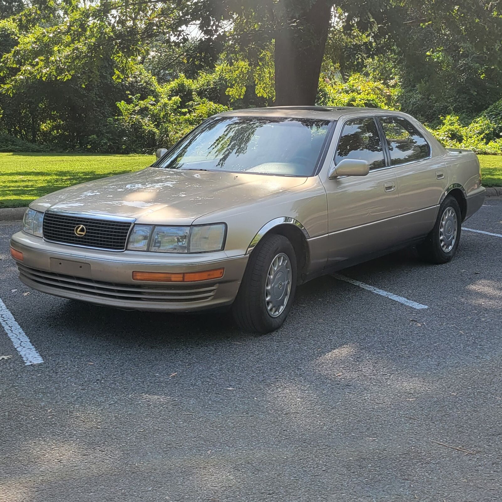 Lexus LS