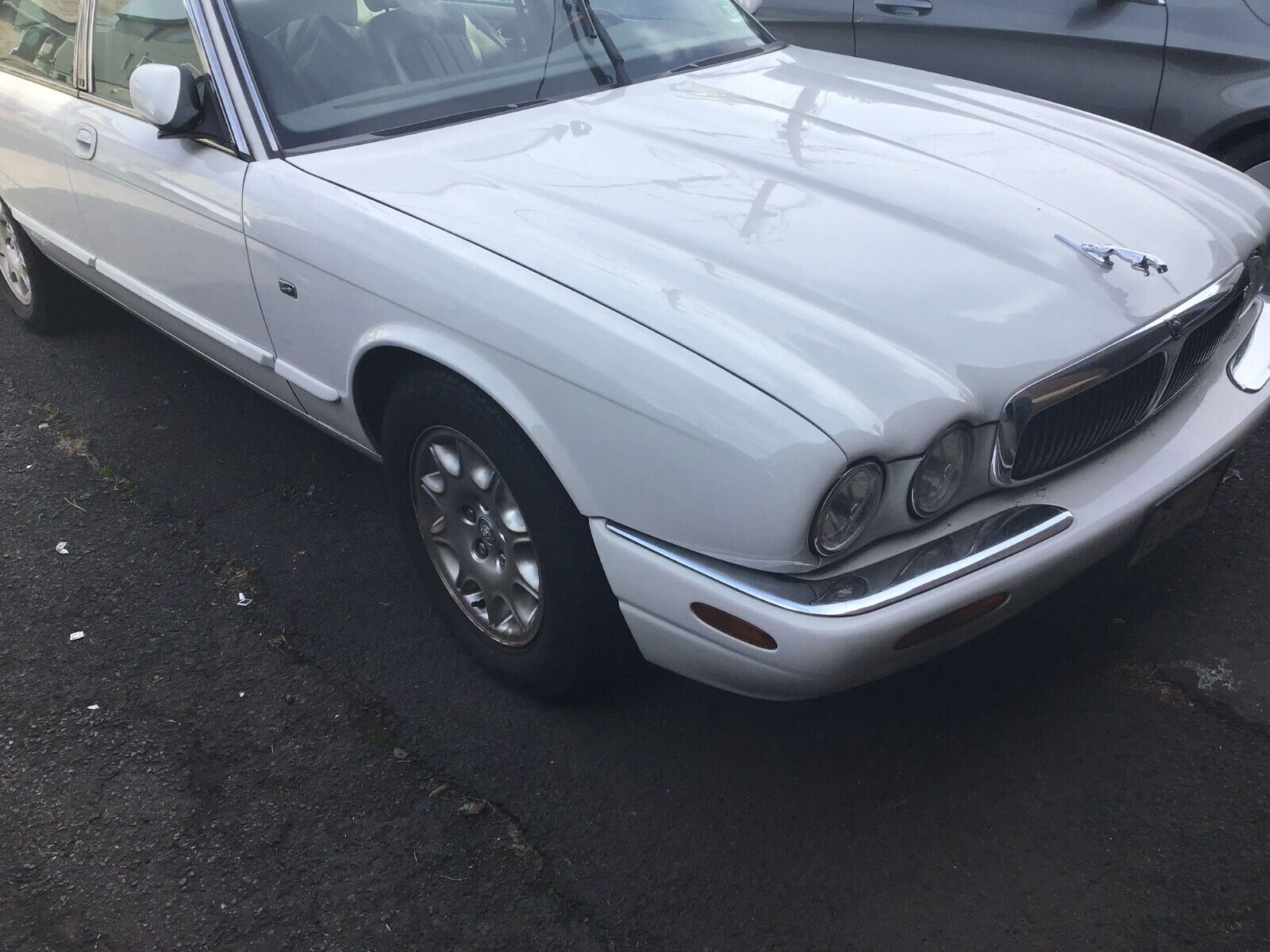 Jaguar XJ8