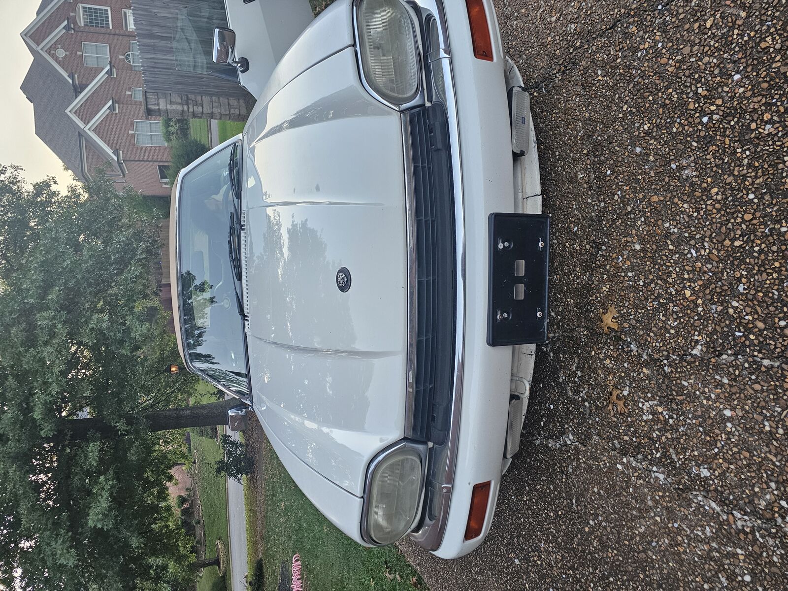 Jaguar XJS