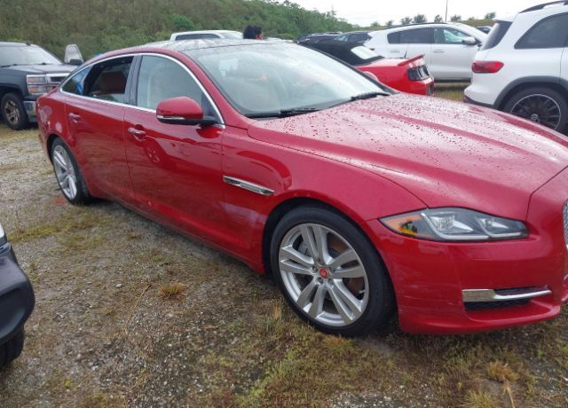 Jaguar XJ