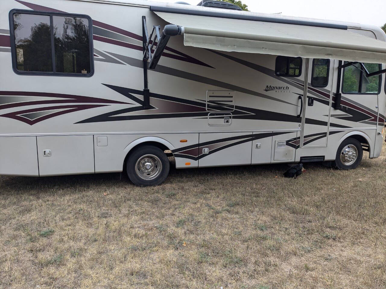 Ford Motorhome Chassis
