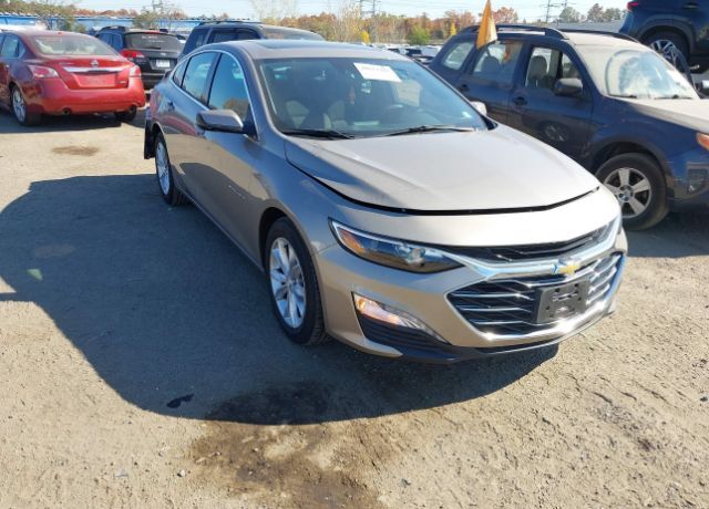 1G1ZD5ST0PF116959
